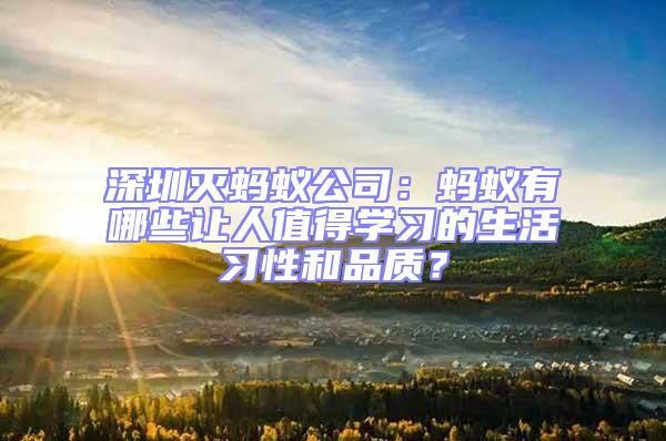 深圳滅螞蟻公司:螞蟻有哪些讓人值得學習的生活習性和品質?