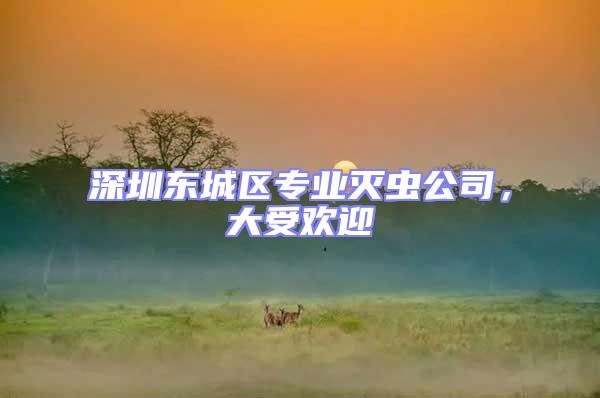 深圳東城區專業滅蟲公司，大受歡迎