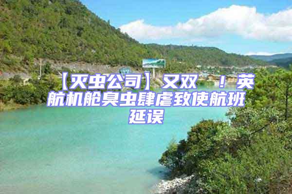 【滅蟲公司】又雙叒叕!英航機艙臭蟲肆虐致使航班延誤