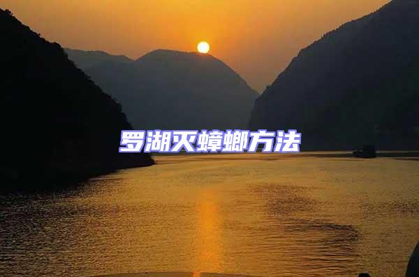 羅湖滅蟑螂方法