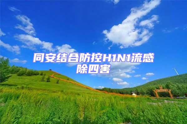 同安結合防控H1N1流感除四害