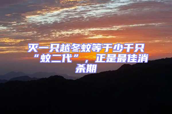 滅一只越冬蚊等于少千只“蚊二代”，正是最佳消殺期