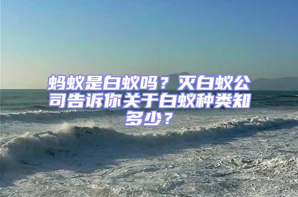 螞蟻是白蟻嗎？滅白蟻公司告訴你關于白蟻種類知多少？
