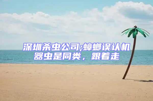 深圳殺蟲公司;蟑螂誤認機器蟲是同類，跟著走