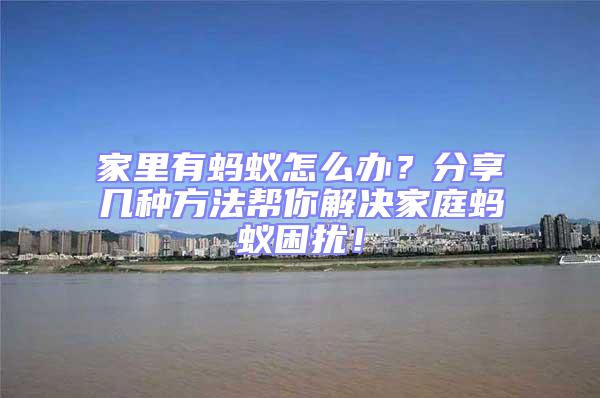 家里有螞蟻怎么辦？分享幾種方法幫你解決家庭螞蟻困擾！