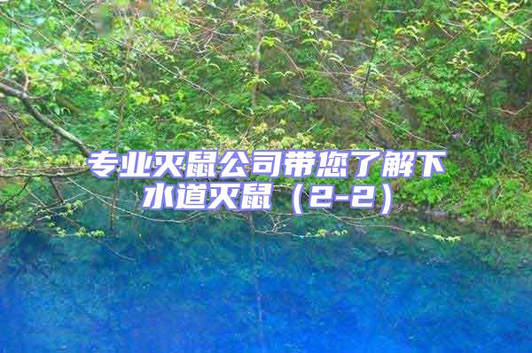 專業(yè)滅鼠公司帶您了解下水道滅鼠（2-2）