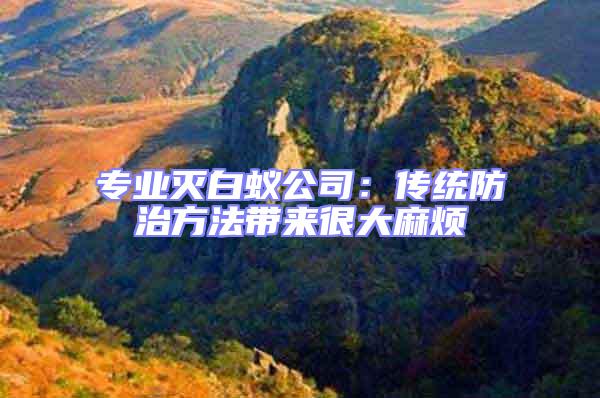 專業(yè)滅白蟻公司:傳統(tǒng)防治方法帶來很大麻煩