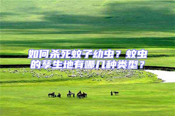 如何殺死蚊子幼蟲？蚊蟲的孳生地有哪幾種類型？