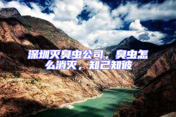 深圳滅臭蟲公司，臭蟲怎么消滅，知己知彼