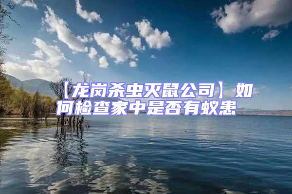【龍崗殺蟲(chóng)滅鼠公司】如何檢查家中是否有蟻患
