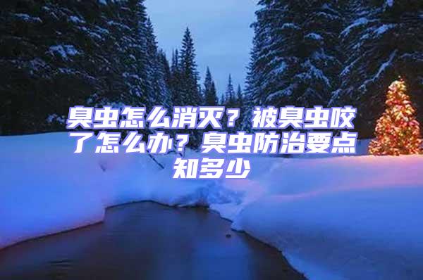 臭蟲怎么消滅?被臭蟲咬了怎么辦?臭蟲防治要點知多少