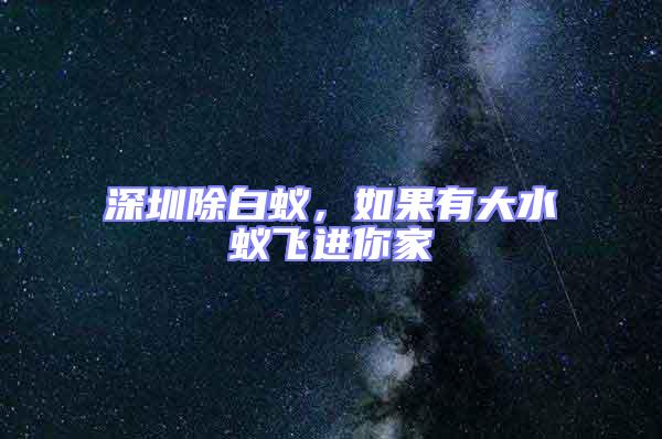 深圳除白蟻,如果有大水蟻飛進(jìn)你家