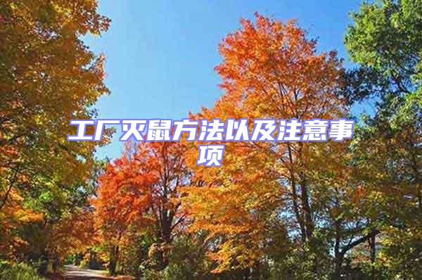 工廠滅鼠方法以及注意事項(xiàng)