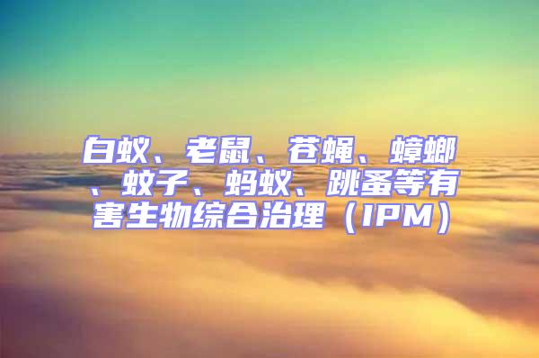 白蟻、老鼠、蒼蠅、蟑螂、蚊子、螞蟻、跳蚤等有害生物綜合治理（IPM）