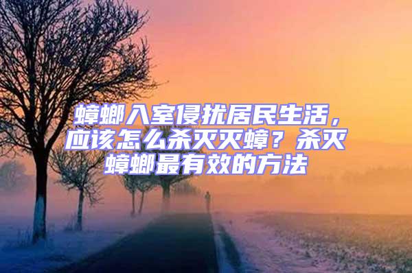 蟑螂入室侵擾居民生活，應該怎么殺滅滅蟑？殺滅蟑螂最有效的方法