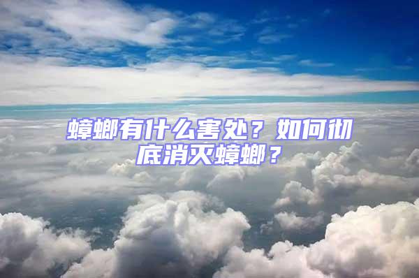 蟑螂有什么害處？如何徹底消滅蟑螂？