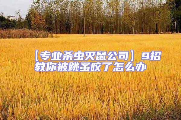 【專業殺蟲滅鼠公司】9招教你被跳蚤咬了怎么辦