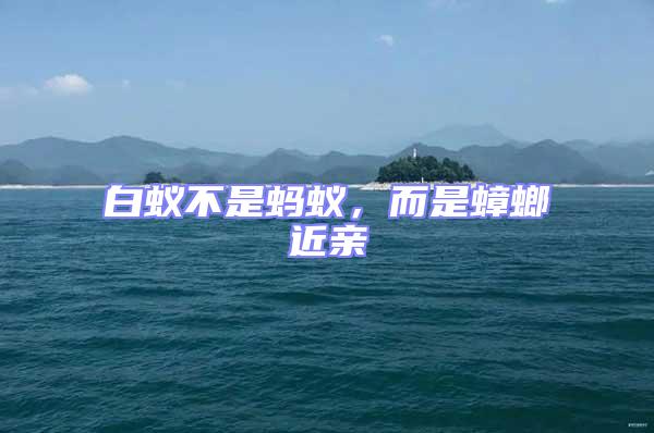 白蟻不是螞蟻，而是蟑螂近親