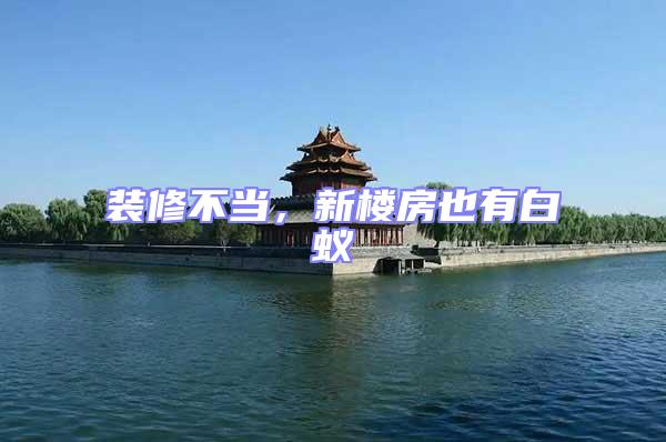 裝修不當，新樓房也有白蟻