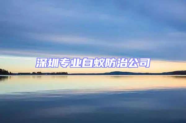 深圳專業白蟻防治公司