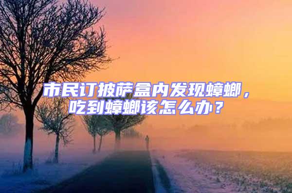 市民訂披薩盒內(nèi)發(fā)現(xiàn)蟑螂，吃到蟑螂該怎么辦？
