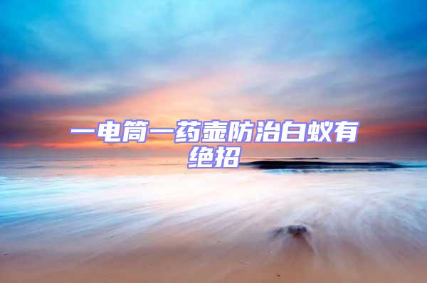 一電筒一藥壺防治白蟻有絕招