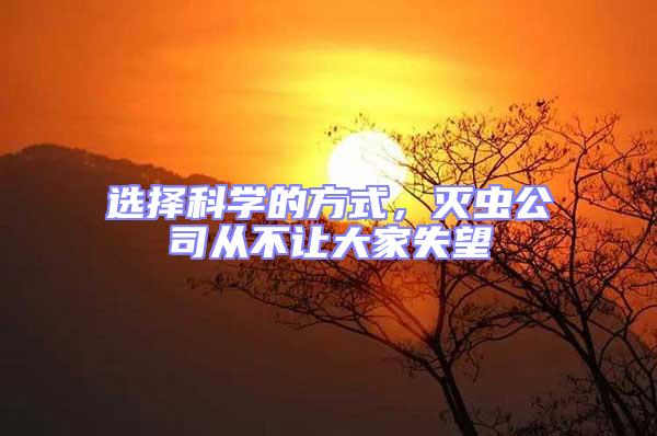 選擇科學(xué)的方式,滅蟲公司從不讓大家失望