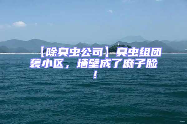 【除臭蟲公司】臭蟲組團襲小區，墻壁成了麻子臉！