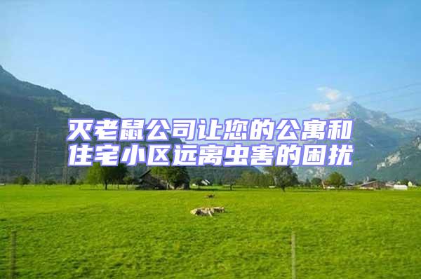 滅老鼠公司讓您的公寓和住宅小區遠離蟲害的困擾