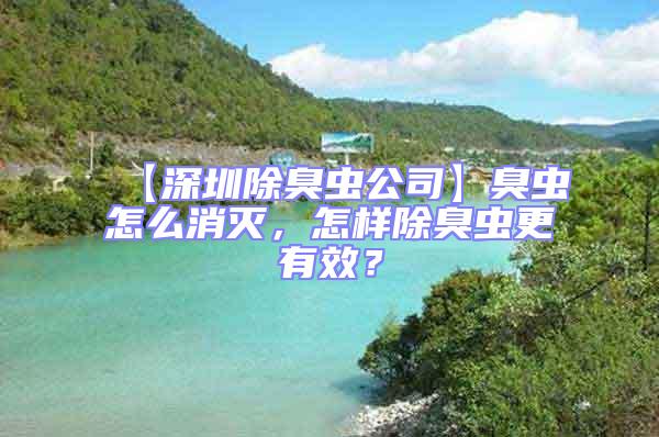 【深圳除臭蟲公司】臭蟲怎么消滅，怎樣除臭蟲更有效？