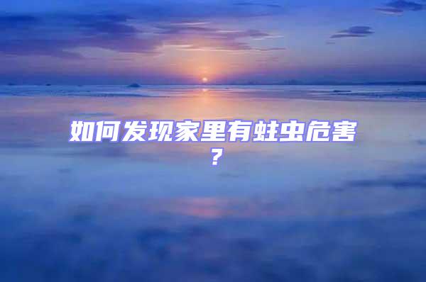 如何發(fā)現(xiàn)家里有蛀蟲危害？