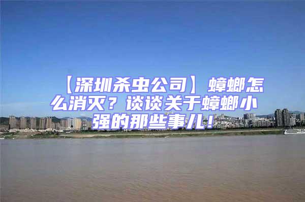 【深圳殺蟲公司】蟑螂怎么消滅？談?wù)勱P(guān)于蟑螂小強(qiáng)的那些事兒！