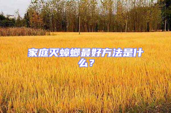 家庭滅蟑螂最好方法是什么？