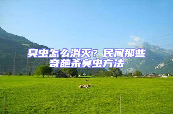 臭蟲怎么消滅？民間那些奇葩殺臭蟲方法