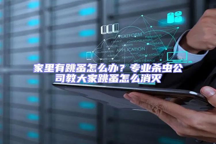 家里有跳蚤怎么辦？專業(yè)殺蟲公司教大家跳蚤怎么消滅