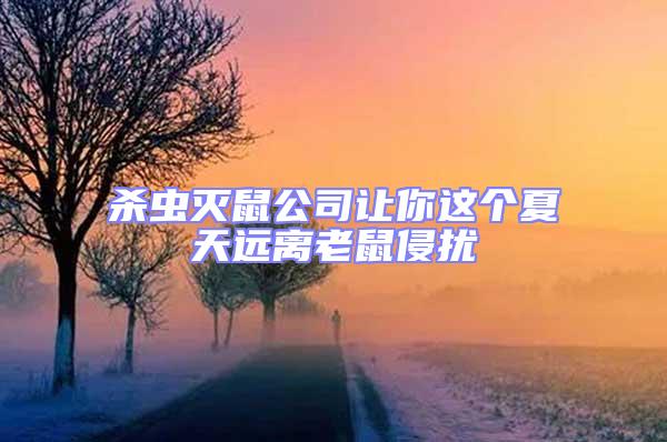 殺蟲(chóng)滅鼠公司讓你這個(gè)夏天遠(yuǎn)離老鼠侵?jǐn)_