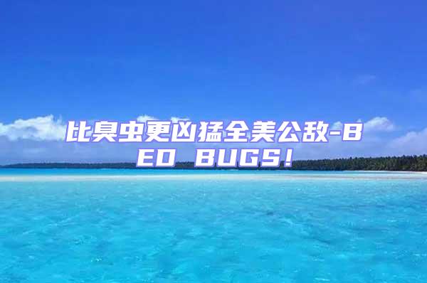 比臭蟲更兇猛全美公敵-BED BUGS！