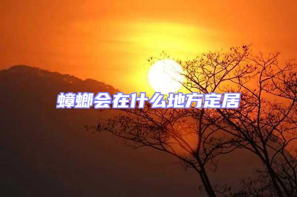 蟑螂會(huì)在什么地方定居