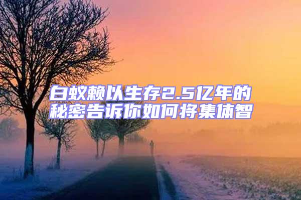 白蟻賴以生存2.5億年的秘密告訴你如何將集體智