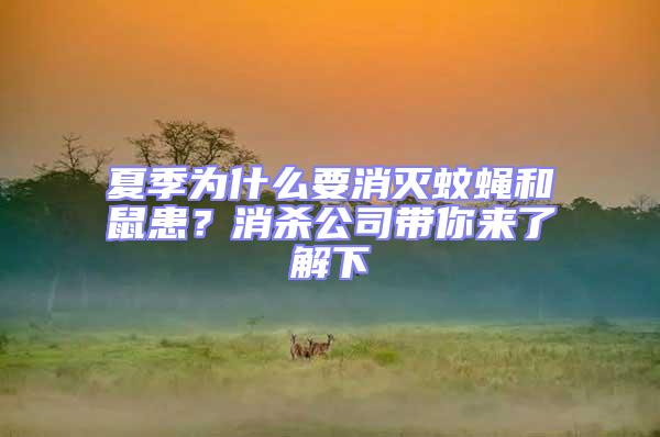 夏季為什么要消滅蚊蠅和鼠患？消殺公司帶你來了解下