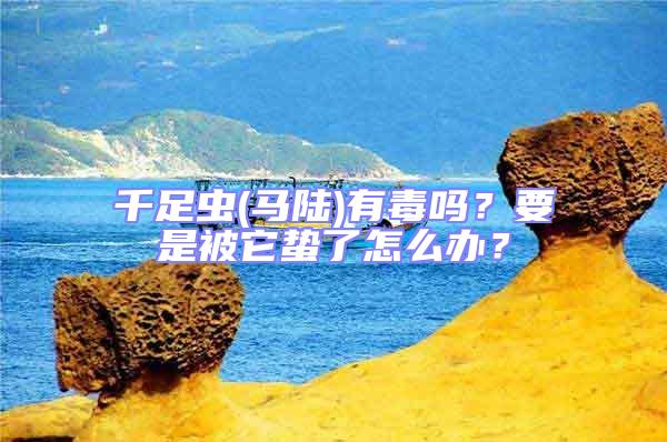 千足蟲(馬陸)有毒嗎？要是被它蟄了怎么辦？