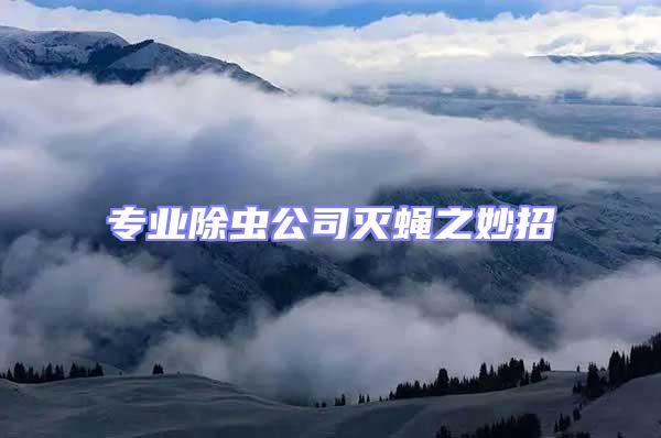 專業(yè)除蟲(chóng)公司滅蠅之妙招