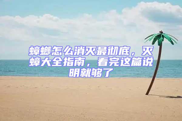 蟑螂怎么消滅最徹底，滅蟑大全指南，看完這篇說明就夠了