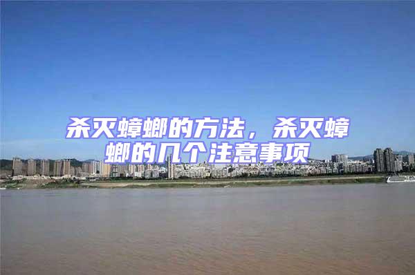 殺滅蟑螂的方法，殺滅蟑螂的幾個(gè)注意事項(xiàng)