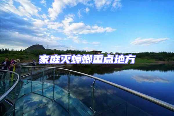 家庭滅蟑螂重點(diǎn)地方