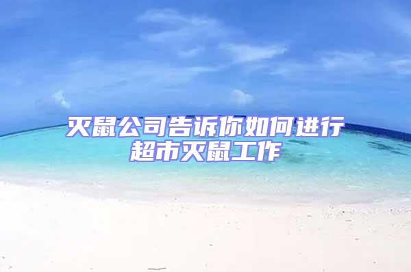 滅鼠公司告訴你如何進(jìn)行超市滅鼠工作