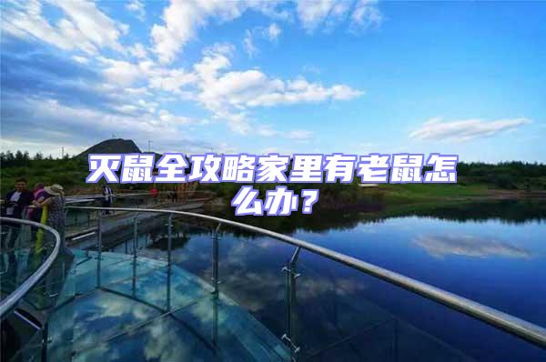 滅鼠全攻略家里有老鼠怎么辦？