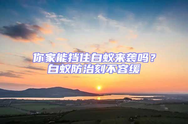 你家能擋住白蟻來襲嗎？白蟻防治刻不容緩