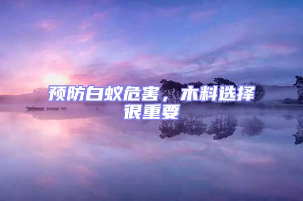 預防白蟻危害，木料選擇很重要