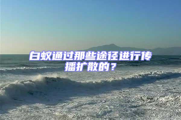 白蟻通過那些途徑進行傳播擴散的?